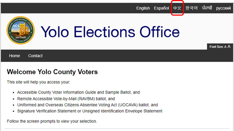 Translated Ballot 1 - Chinese